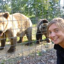 Volunteer With Bears