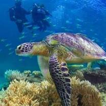 Wildlife Conservation in Australia with Love Volunteers!