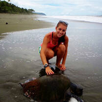 Help us monitor sea turtles to protect these threatened and endangered species!