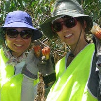 Conservation project in Australia