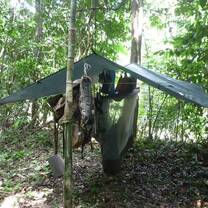 Amazon survival guide volunteering