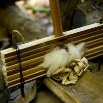 Fire Amazon survival guide volunteering