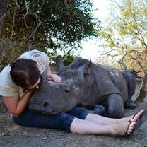 Conservation Africa Experience Volunteer cuddles with rhino