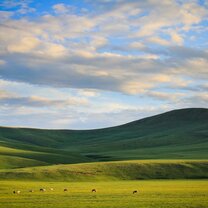 Rustic Pathways Mongolia Travel and Volunteer Program