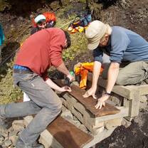 Timber step construction