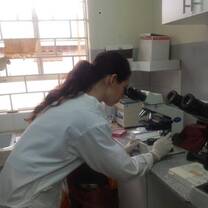 medical volunteering in Uganda