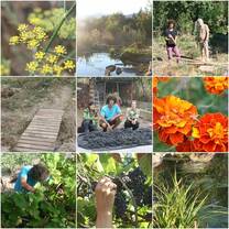 Market Garden Collage