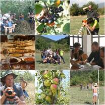 Activities at Balkep