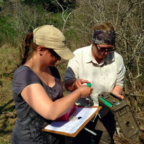 Checking, Setting Up and Maintaining Camera Traps Checking, Setting Up and Maintaining Camera Traps