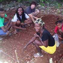 Planting Coffee Seets