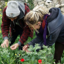 sustainable living volunteering in Spain