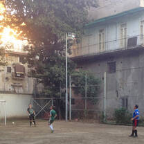 Volunteer activities in Italy with IVHQ