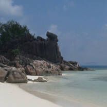 Marine conservation volunteering in the Seychelles