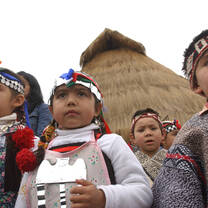 Mapuche Chile