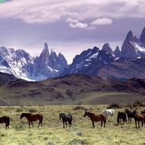 South Chile