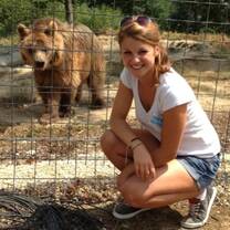 Volunteer with bears in Romania