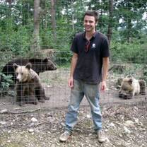 Gap year with bears