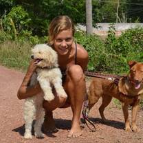 An intvs.org volunteer at the animal welfare progarm in Koh Lanta | intvs.org