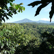 Coffee farm volunteer Guatemala