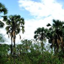 Arusha, Tanzania 