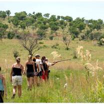 Game walks in the big five reserve
