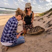 Turtle research