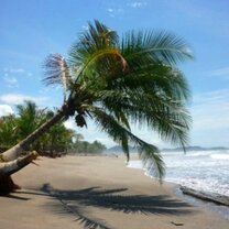 Beautiful setting for the project!  Beach Costa Rica