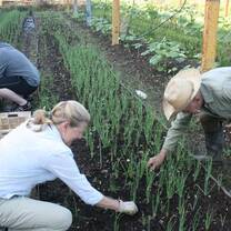 Work with Cuban farmers on cooperative gardening projects.