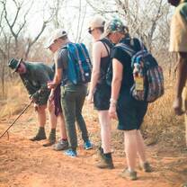 Wildlife Conservation in Victoria Falls with IVHQ