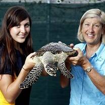 volunteer and staff holding a sea turtle 
