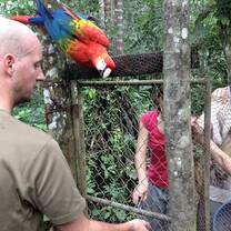 Volunteers feeding the animals in the wildlife center
