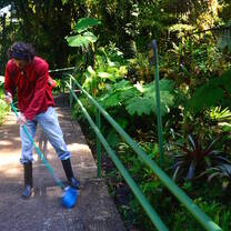 Daily maintenance of trails at the cloud forest reserve.