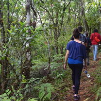 Volunteers on their way to work at the cloud forest.
