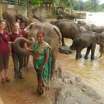 ELEPHANT EXPERIENCE | SRI LANKA | BVOL