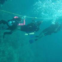 Learn how to dive