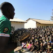 community, wildlife, education, teaching, zimbabwe, village