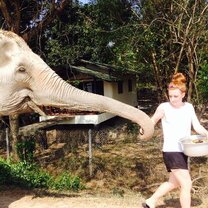 Elephants and volunteers in Thailand