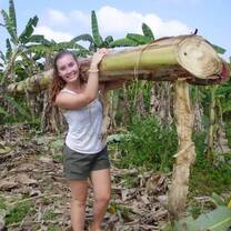 A volunteer helps harvest elephant lunch!