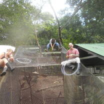 Volunteers repair an enclosure. 