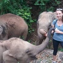 Volunteers get the opportunity to feed & carry out health checks on the elephant
