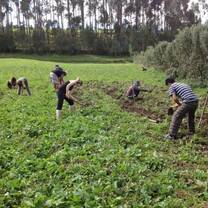 Conservation program 