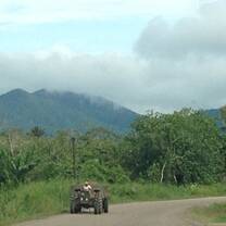 Tractor driving down a local road in Belize