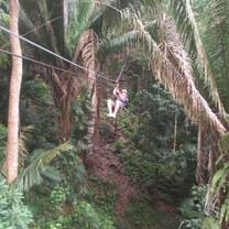 Volunteer zip lining with Projects Abroad in Belize