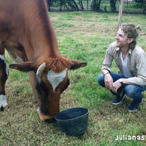 Mark Pontius from Foster the People feeding Balaram the ox