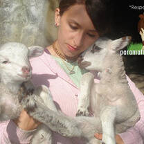 Juliana with some rescued lambs