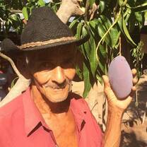 The Fruit Tree Planting Foundation El Salvador