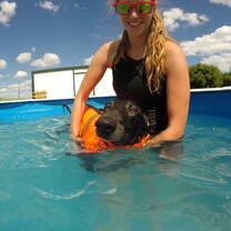 Aquatherapy with a galgo