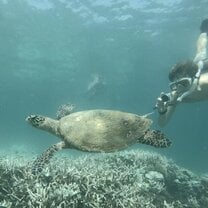 Madagascar Volunteer - Turtle Cove