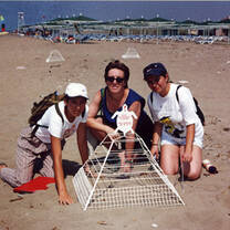 Caging nests