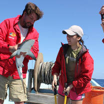 Earthwatch Institute Volunteers with sharks 